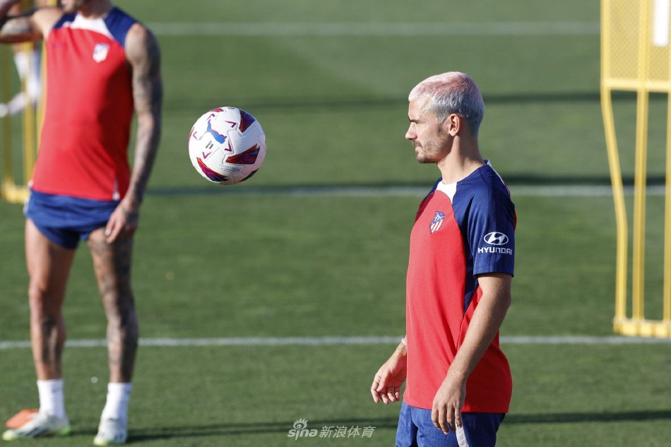 篮球公园的 篮球公园的